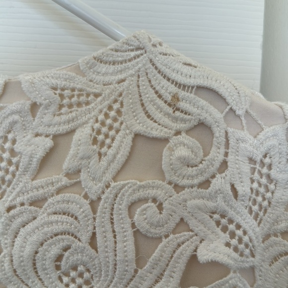 AG Phillips Andrea Phillips Floral Dress Guipure Lace Italian Silk Ivory Size 8 - Picture 13 of 16